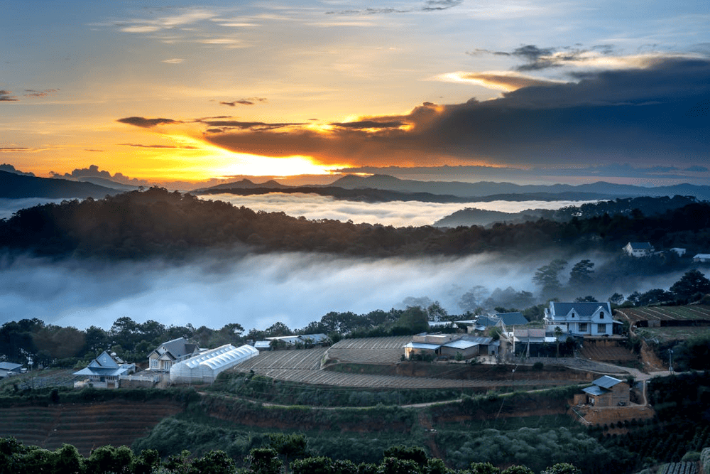 Da Lat, the dreamy "City of Mist", captivates visitors with its cool climate, pine forests, and romantic charm floating gently in the morning fog (Source: Pexels)